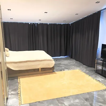 Duplex 公寓 *